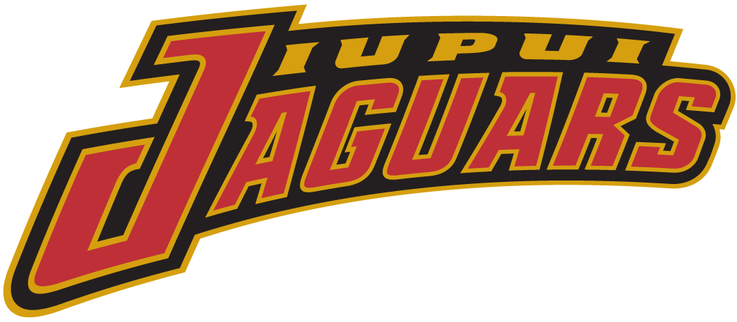IUPUI Jaguars 2002-Pres Wordmark Logo iron on transfers for clothing